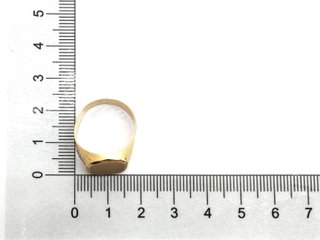 E1809552-26    Sello Oro 18k Con Circonita