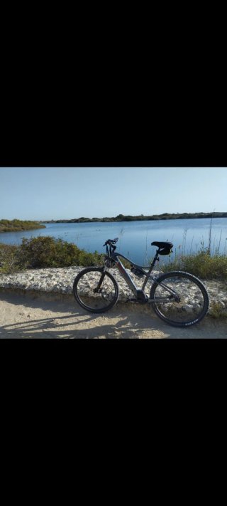 Bicicleta eléctrica MTB BH Atom29  talla L   2024