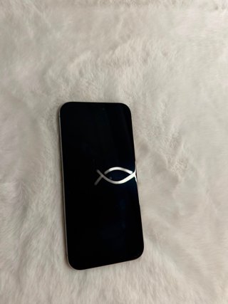 iPhone 16 Pro Max 256 GB Titanio Natural