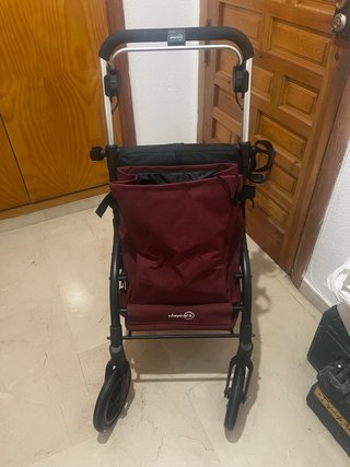 Carrito de paseo con asiento y bolsa