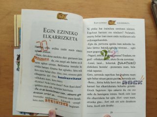 Stilton dut izena, Geronimo Stilton Geronimo St...