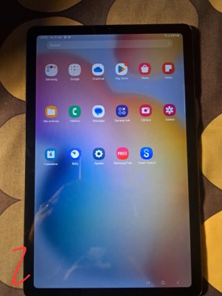 Samsung Tab S6 Lite Gris + Datos 4G