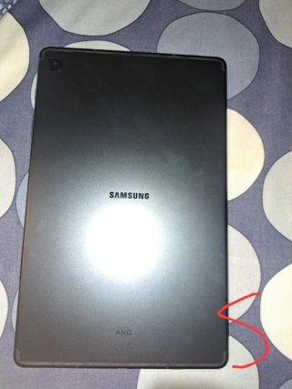 Samsung Tab S6 Lite Gris + Datos 4G