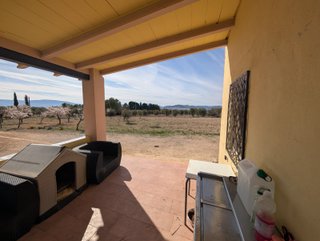 CAMPO EN YECLA
