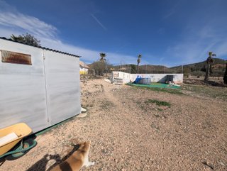 CAMPO EN YECLA