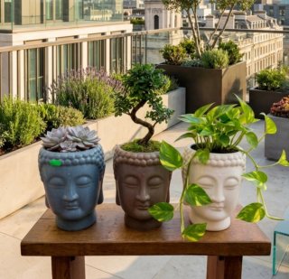 Testa di Buddha portavasi in ceramica 12€ a pezzo