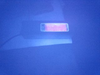 Transilluminatore Lampada Made in Germany