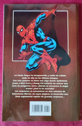 Spiderman - Masacre en la Décima Avenida