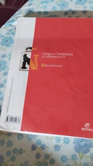 Lengua Castellana y Literatura II 2º Bachillerato
