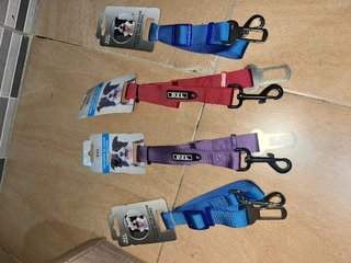 Correa y collar para perros