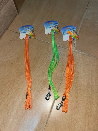 Correa y collar para perros