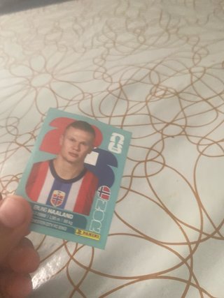 Cartas Mundial Panini (Nico Paz, Haaland, Doué las