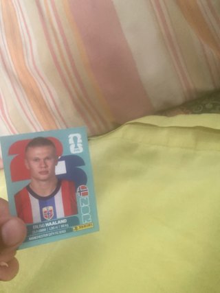 Cartas Mundial Panini (Nico Paz, Haaland, Doué las