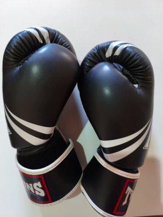 Guantes Twins 16oz