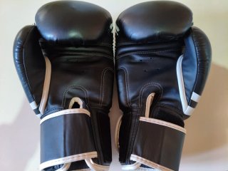 Guantes Twins 16oz