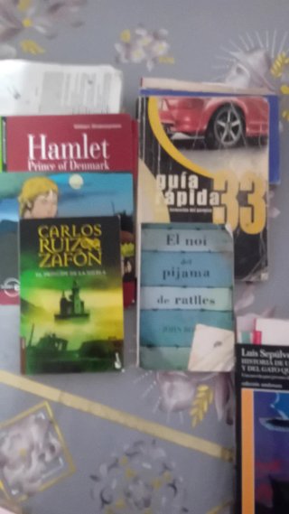 Lote de libros