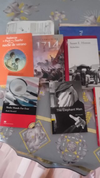 Lote de libros