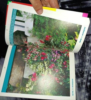 Guías de Jardinería de Publicaciones Casa y Jardín