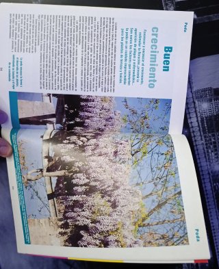 Guías de Jardinería de Publicaciones Casa y Jardín