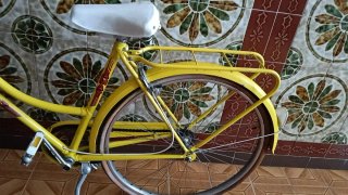 Bicicleta Paseo Amarilla