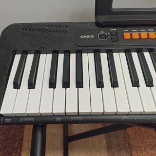 Teclado Casio Casiotone CT-S100 61 teclas