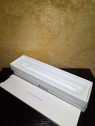 Apple Pencil 2a Generazione Bianca Pari al Nuovo