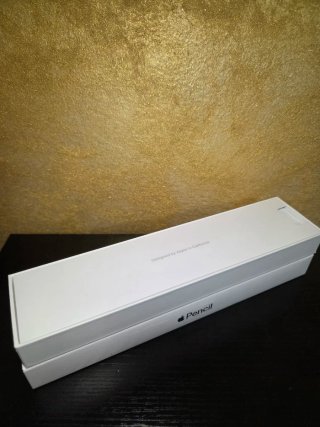 Apple Pencil 2a Generazione Bianca Pari al Nuovo