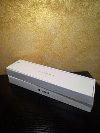 Apple Pencil 2a Generazione Bianca Pari al Nuovo