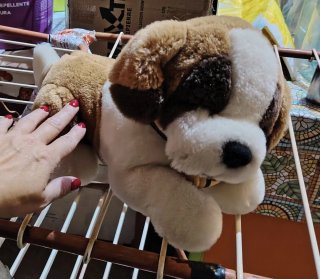 Peluche cane San Bernardo
