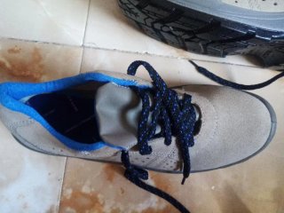 ​Zapatos de seguridad Panter - Nuevos