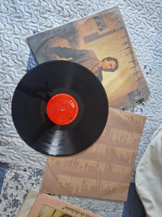 Lotes de Vinilos Internacionales y Nacionales