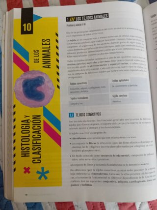 Biología 2° Bachillerato Proyecto FanFest
