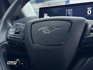 Ford Mustang Mach-E Premium RWD 216 kW 294 Cv