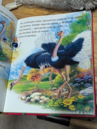 Animales del mundo no 1