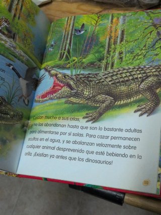 Animales del mundo no 1