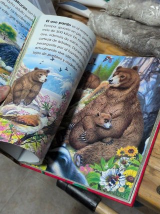 Animales del mundo no 1