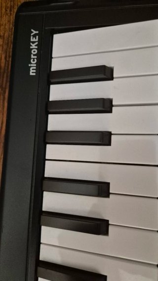 Korg microKEY2 61 Teclas
