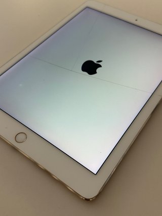 iPad Pro 9.7 2016 32GB Plata A1673
