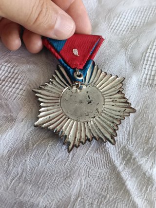 Medalla esmaltada con león