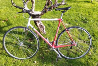 Bicicleta Híbrida Urbana. Talla 54.