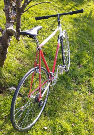 Bicicleta Híbrida Urbana. Talla 54.