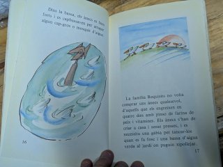 Els ànecs de Vilablanca