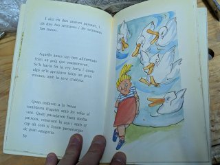 Els ànecs de Vilablanca