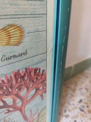 Cuadro grande poster Marino