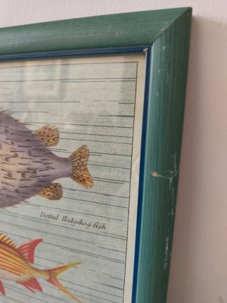 Cuadro grande poster Marino