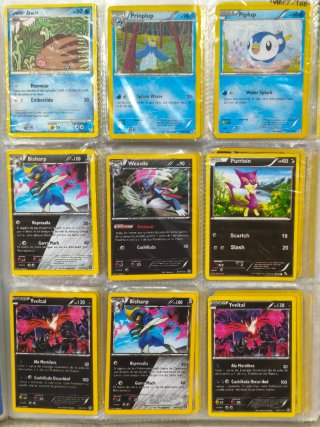Cartas Pokémon Dewott, Oshawott, Joltik, Zebstrika
