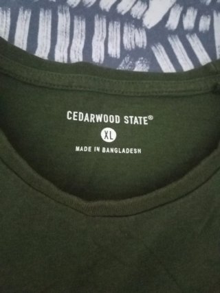 Lote de camisetas de chico.