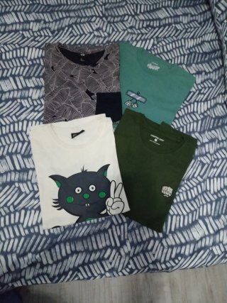Lote de camisetas de chico.