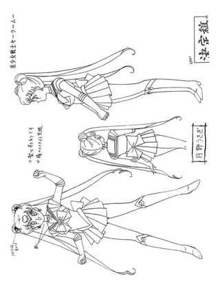 Stampe settei Sailor moon