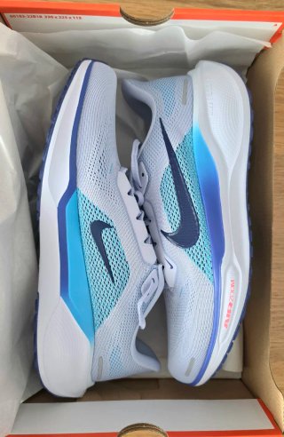 Zapatillas Nike Pegasus Air React Azul/Blanco
